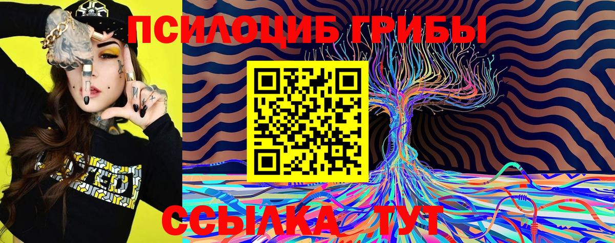 Майкоп  Галлюциногенные грибы MAGIC MUSHROOMS  Вход с VPN 