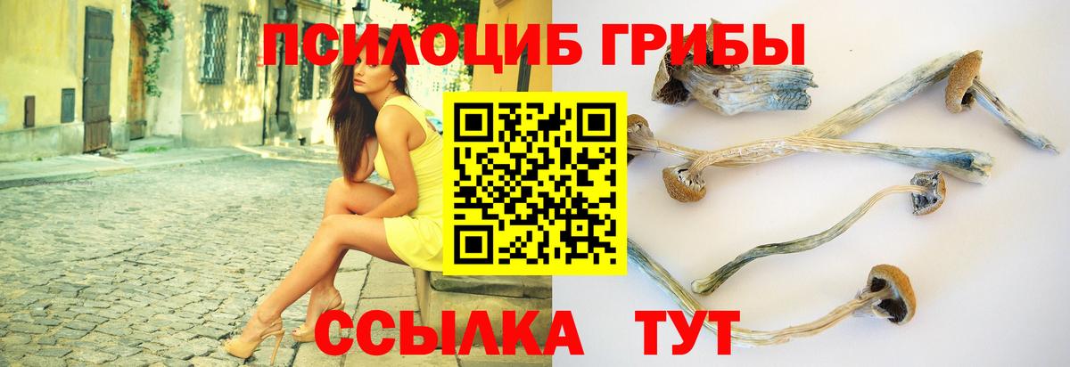 Галлюциногенные грибы Magic Shrooms Майкоп